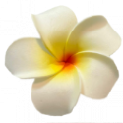 Rak Thai Massage & Spa